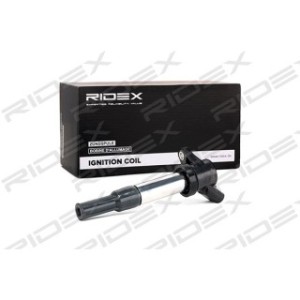 Ignition Coil - RIDEX 689C0084