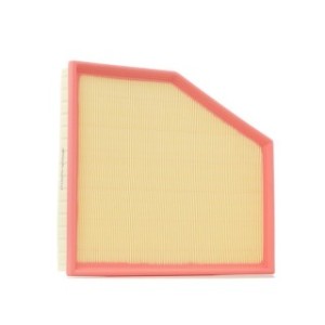 Air Filter - RIDEX 8A0450
