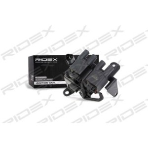Ignition Coil - RIDEX 689C0086