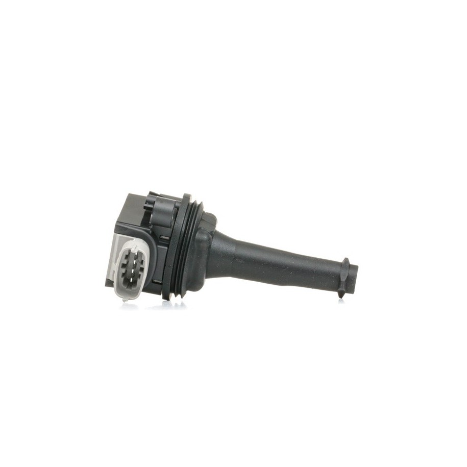 Ignition Coil - RIDEX 689C0089