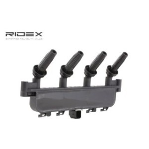 Ignition Coil - RIDEX 689C0091