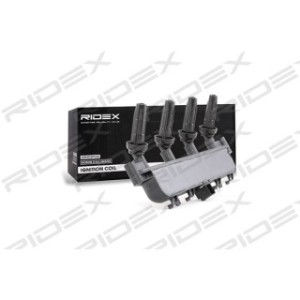 Ignition Coil - RIDEX 689C0091