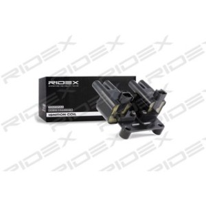 Ignition Coil - RIDEX 689C0093