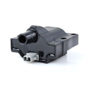 Ignition Coil - RIDEX 689C0100