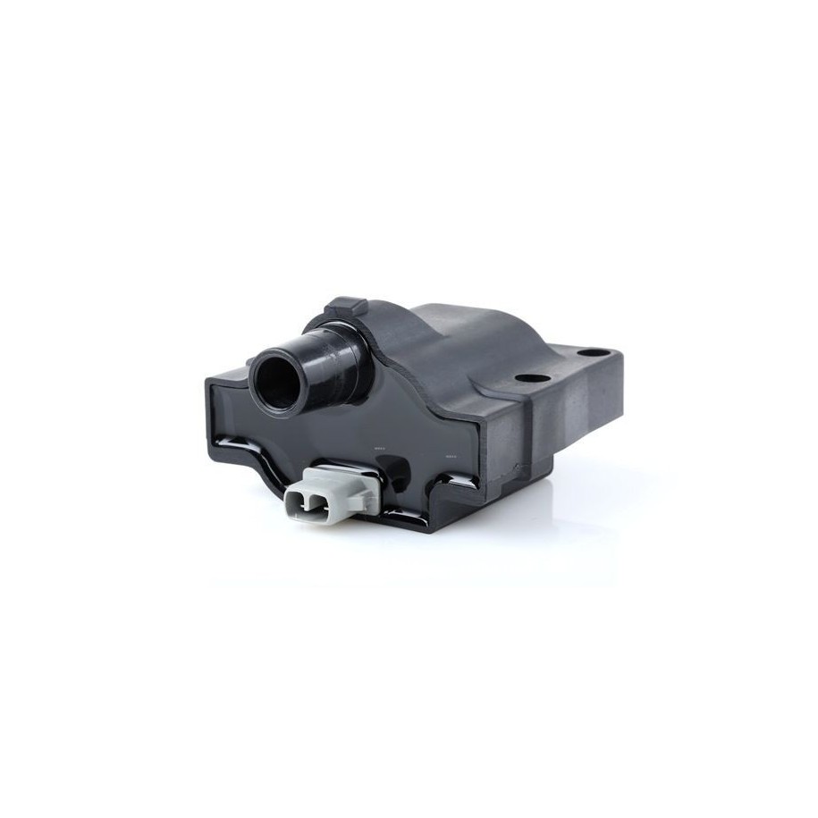 Ignition Coil - RIDEX 689C0100
