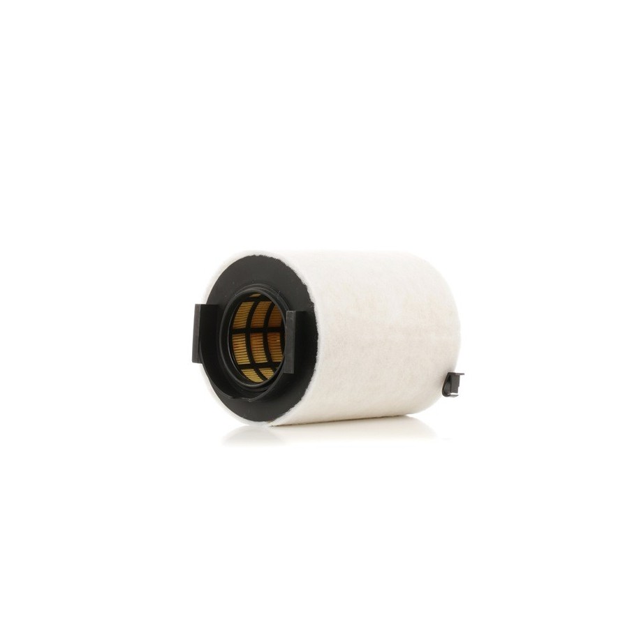 Air Filter - RIDEX 8A0296