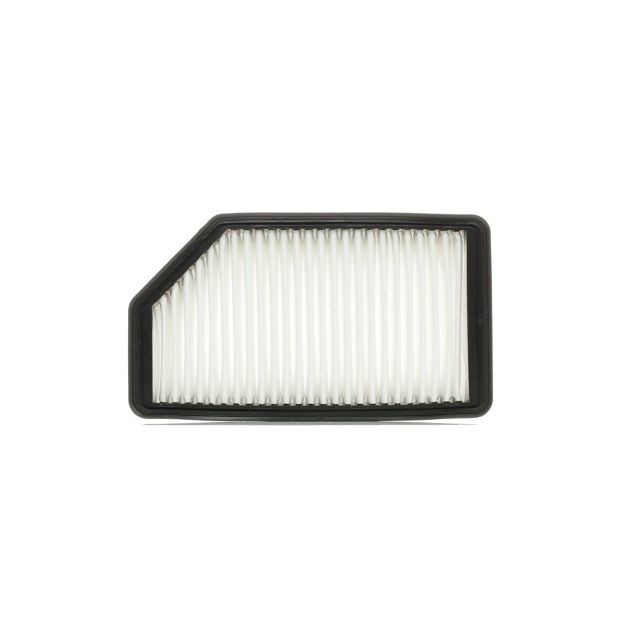 Air Filter - RIDEX 8A0480