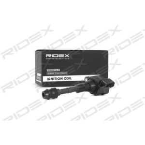 Ignition Coil - RIDEX 689C0113