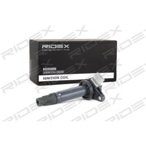 Ignition Coil - RIDEX 689C0114