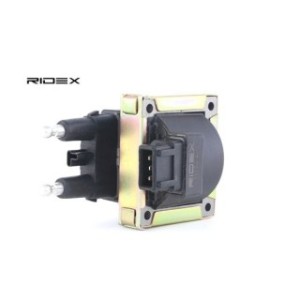Ignition Coil - RIDEX 689C0120