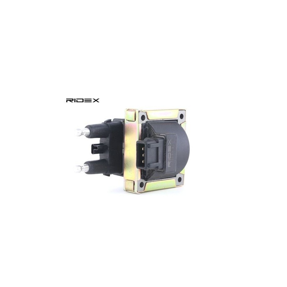 Ignition Coil - RIDEX 689C0120