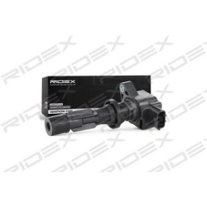 Ignition Coil - RIDEX 689C0130