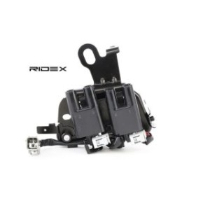 Ignition Coil - RIDEX 689C0132