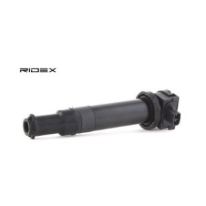 Ignition Coil - RIDEX 689C0134