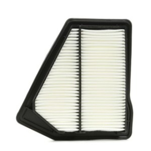 Air Filter - RIDEX 8A0494