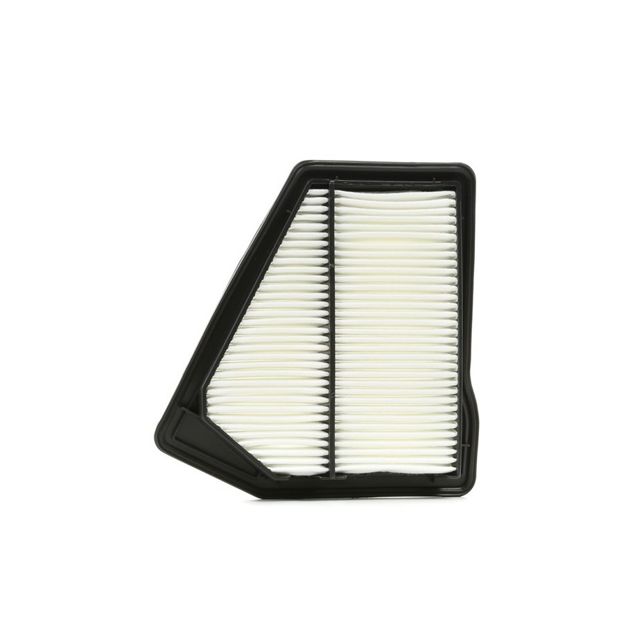 Air Filter - RIDEX 8A0494