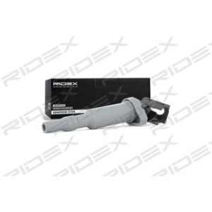 Ignition Coil - RIDEX 689C0147