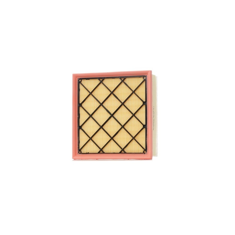 Air Filter - RIDEX 8A0515