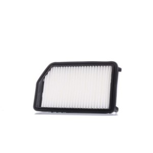 Air Filter - RIDEX 8A0413
