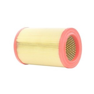 Air Filter - RIDEX 8A0391