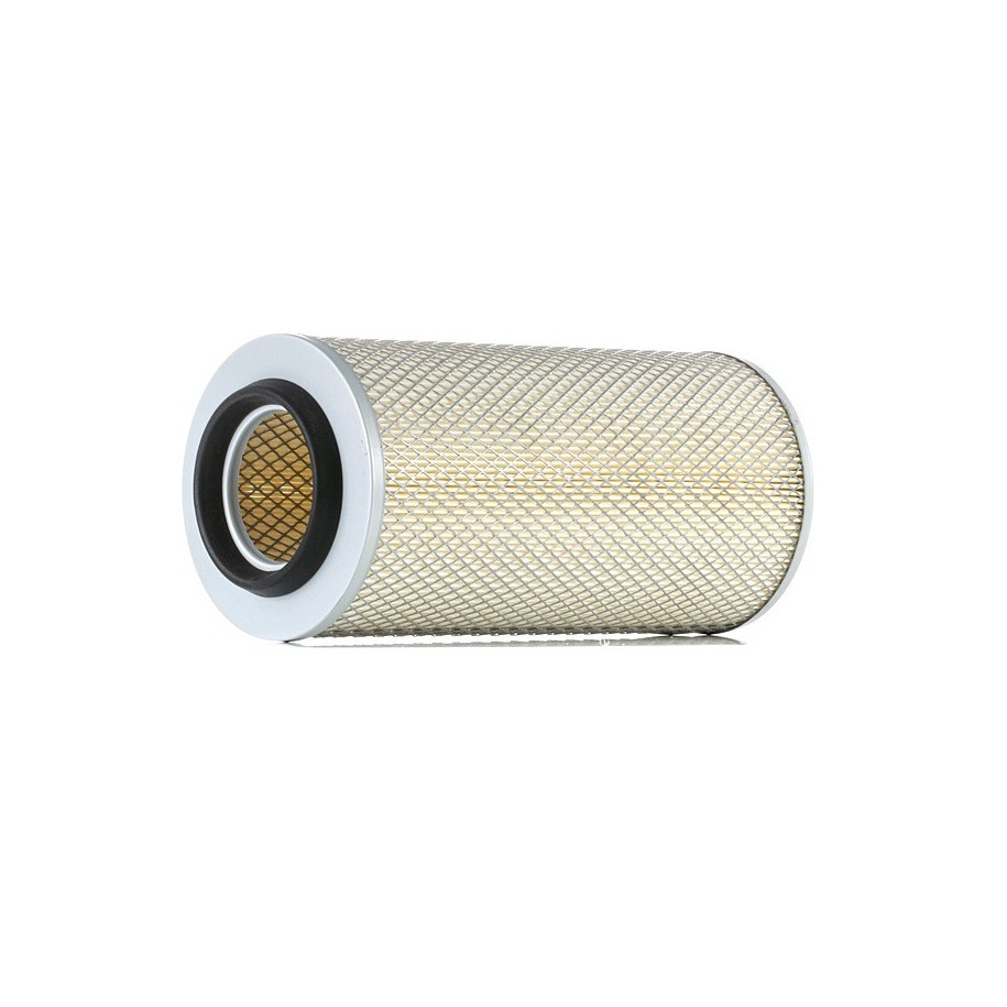 Air Filter - RIDEX 8A0493