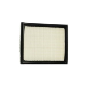Air Filter - RIDEX 8A0387