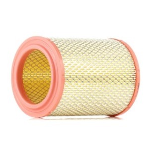 Air Filter - RIDEX 8A0312