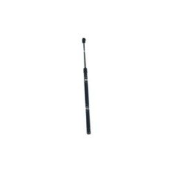 Cargo Area Gas Spring NRF 906001 for BYD ATTO