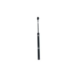 Cargo Area Gas Spring NRF 906003 for BYD DOLPHIN