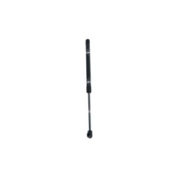 Cargo Area Gas Spring NRF 906003 for BYD DOLPHIN