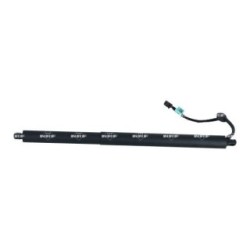 Cargo Area Gas Spring NRF 906006