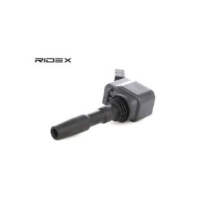 Ignition Coil - RIDEX 689C0262