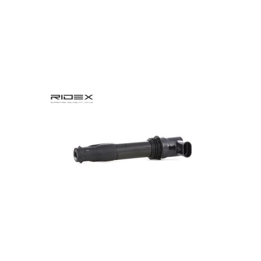 Ignition Coil - RIDEX 689C0260