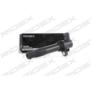 Ignition Coil - RIDEX 689C0260
