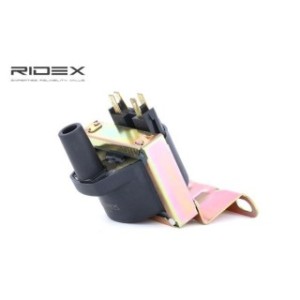 Ignition Coil - RIDEX 689C0251