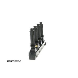 Ignition Coil - RIDEX 689C0248