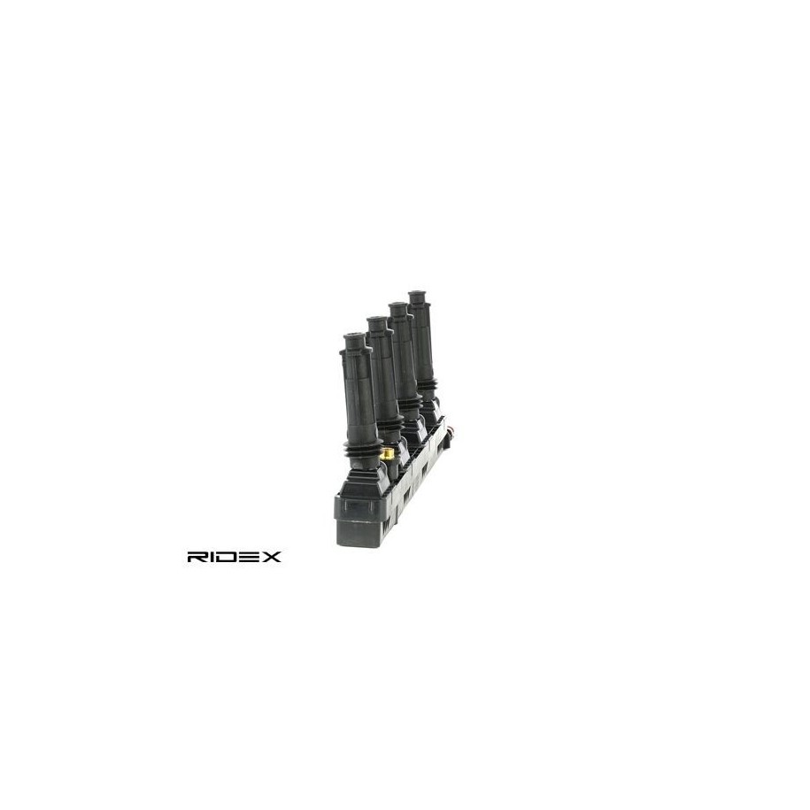 Ignition Coil - RIDEX 689C0248