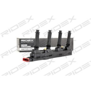 Ignition Coil - RIDEX 689C0248