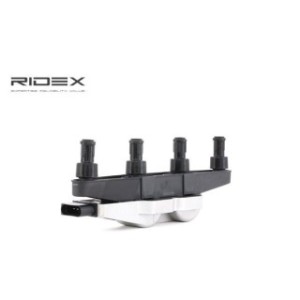 Ignition Coil - RIDEX 689C0247