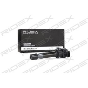 Ignition Coil - RIDEX 689C0246