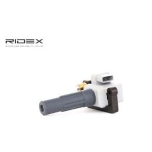 Ignition Coil - RIDEX 689C0238
