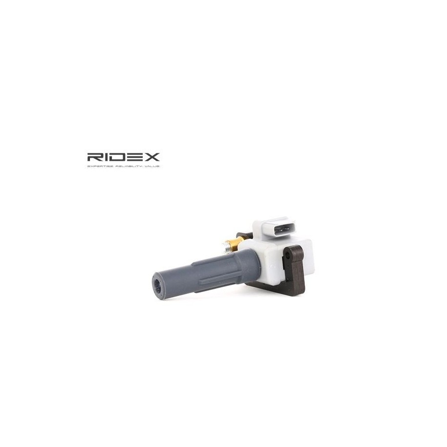 Ignition Coil - RIDEX 689C0238