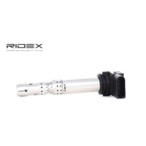 Ignition Coil - RIDEX 689C0235