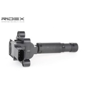 Ignition Coil - RIDEX 689C0233