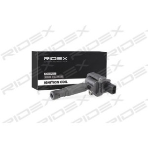 Ignition Coil - RIDEX 689C0233