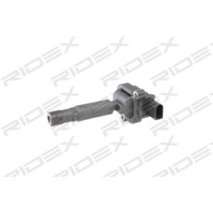Ignition Coil - RIDEX 689C0233