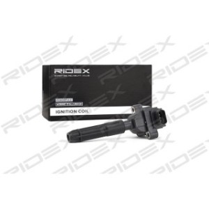Ignition Coil - RIDEX 689C0227