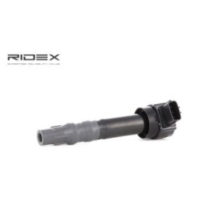 Ignition Coil - RIDEX 689C0226