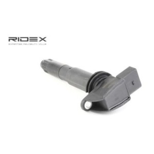 Ignition Coil - RIDEX 689C0224