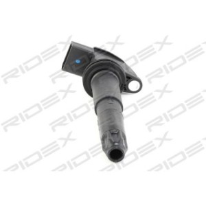 Ignition Coil - RIDEX 689C0224